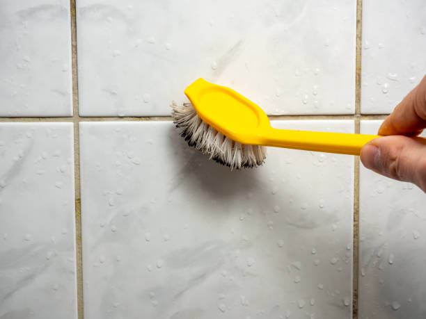 Best Post-Flood Mold Remediation in Walnut Grove, CA