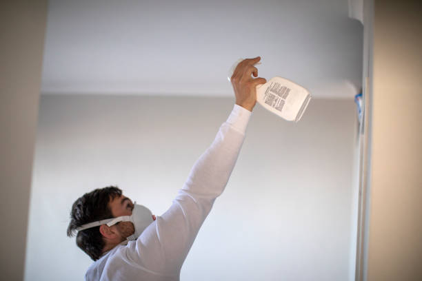 Best Localized Mold Remediation (e.g., coastal areas, humid climates) in Walnut Grove, CA