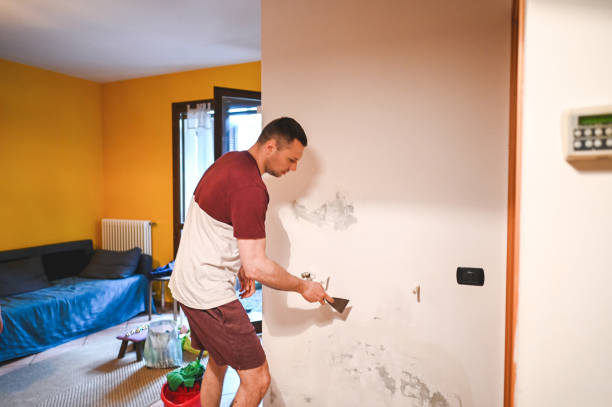 Best Residential Mold Remediation in Walnut Grove, CA